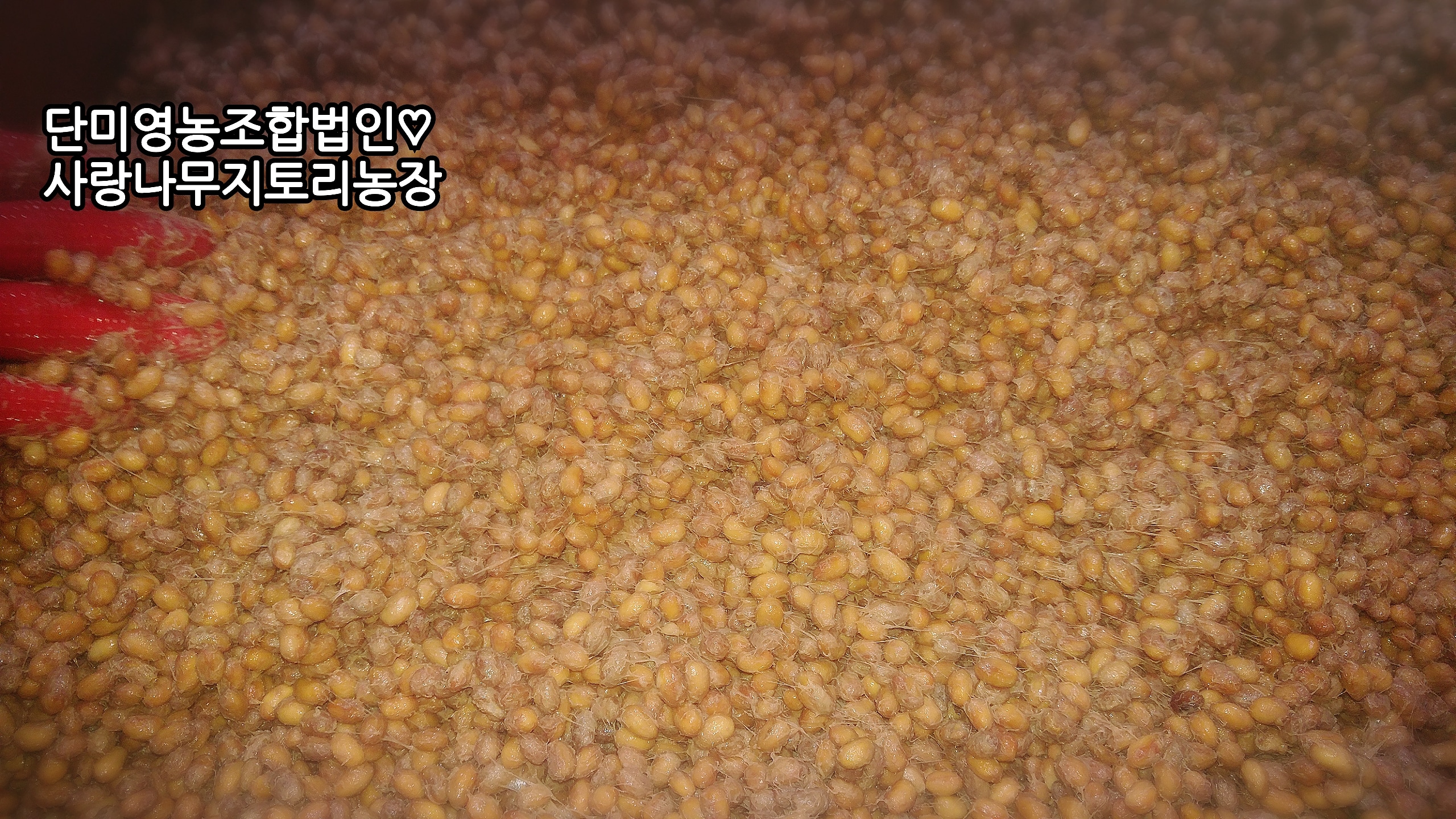 단미영농조합법인