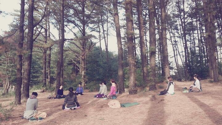 요가라마 홀리스틱 대표 이미지