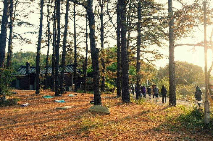 요가라마 홀리스틱 대표 이미지