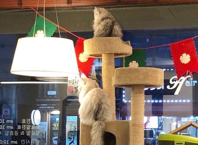 따뜻한동물병원 대표 이미지