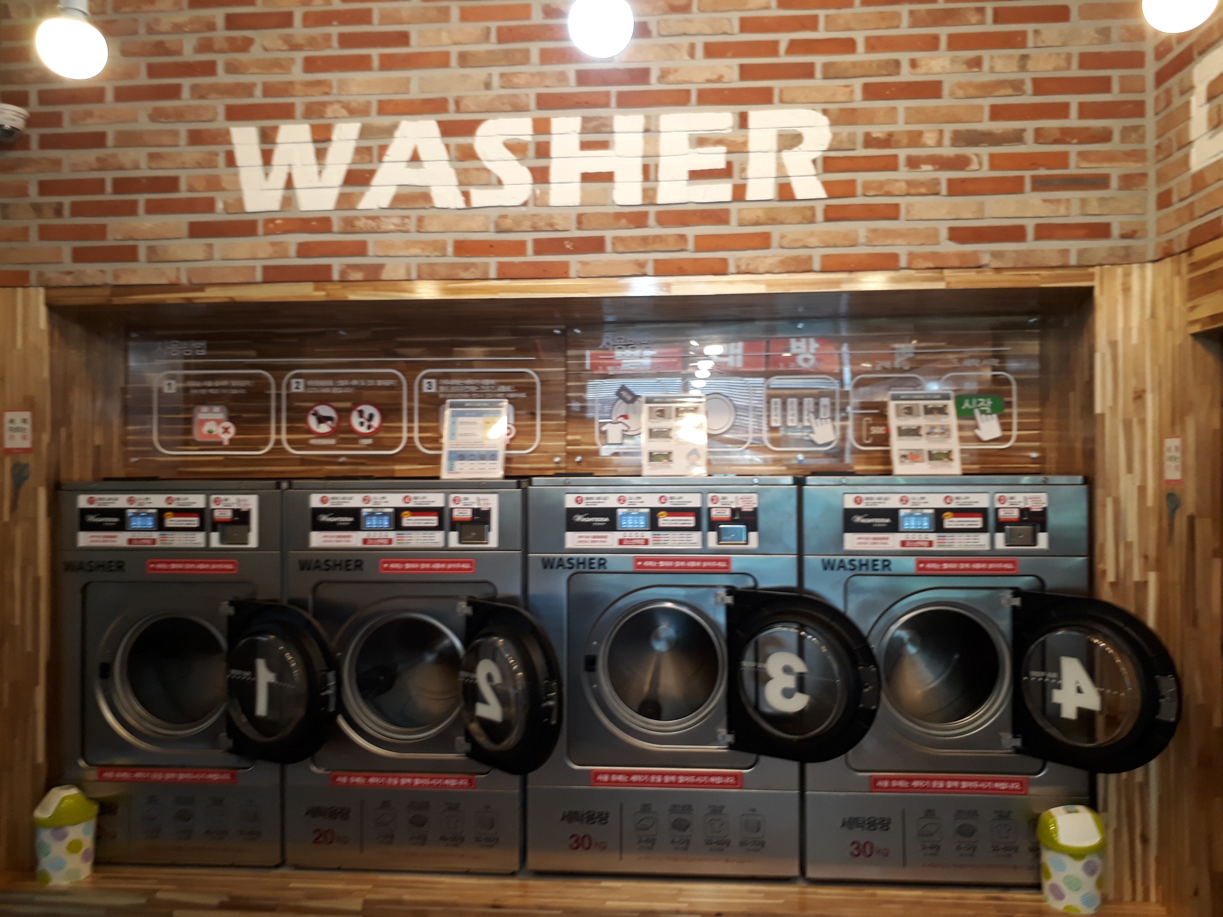 워시테리아 만년점