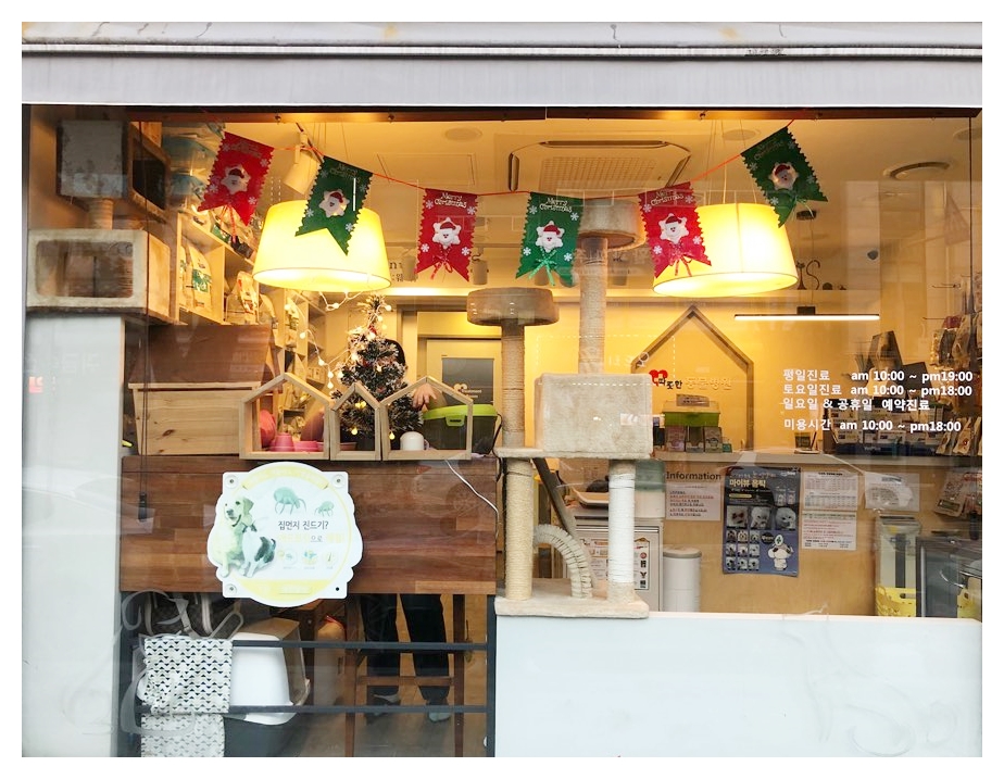 따뜻한동물병원 대표 이미지