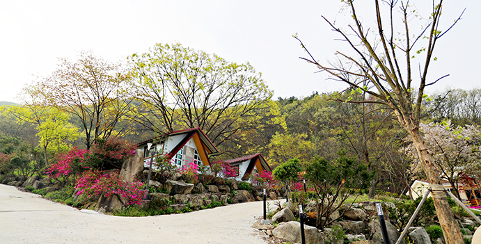 예원캠핑장