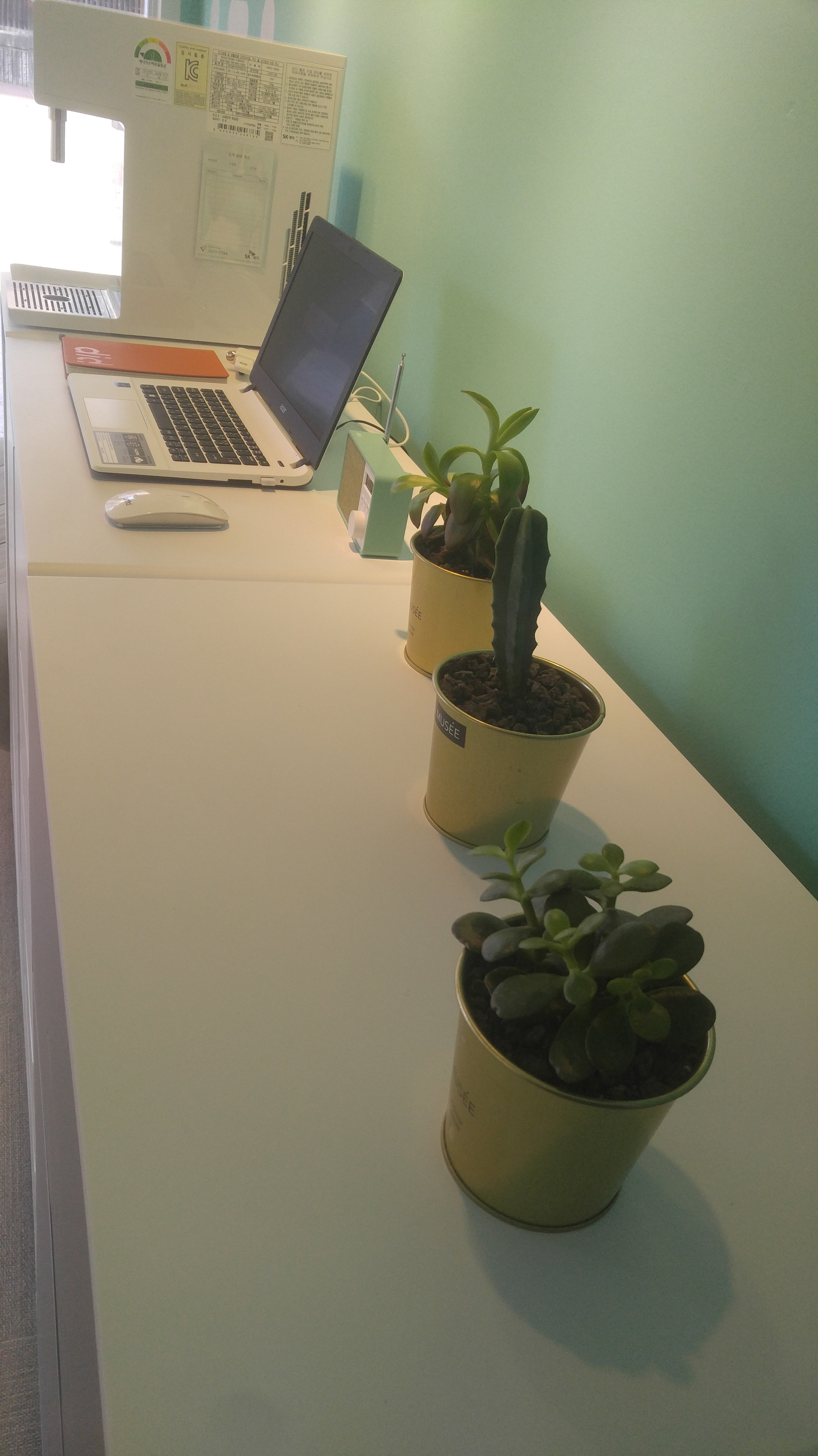 아지파파 대표 이미지