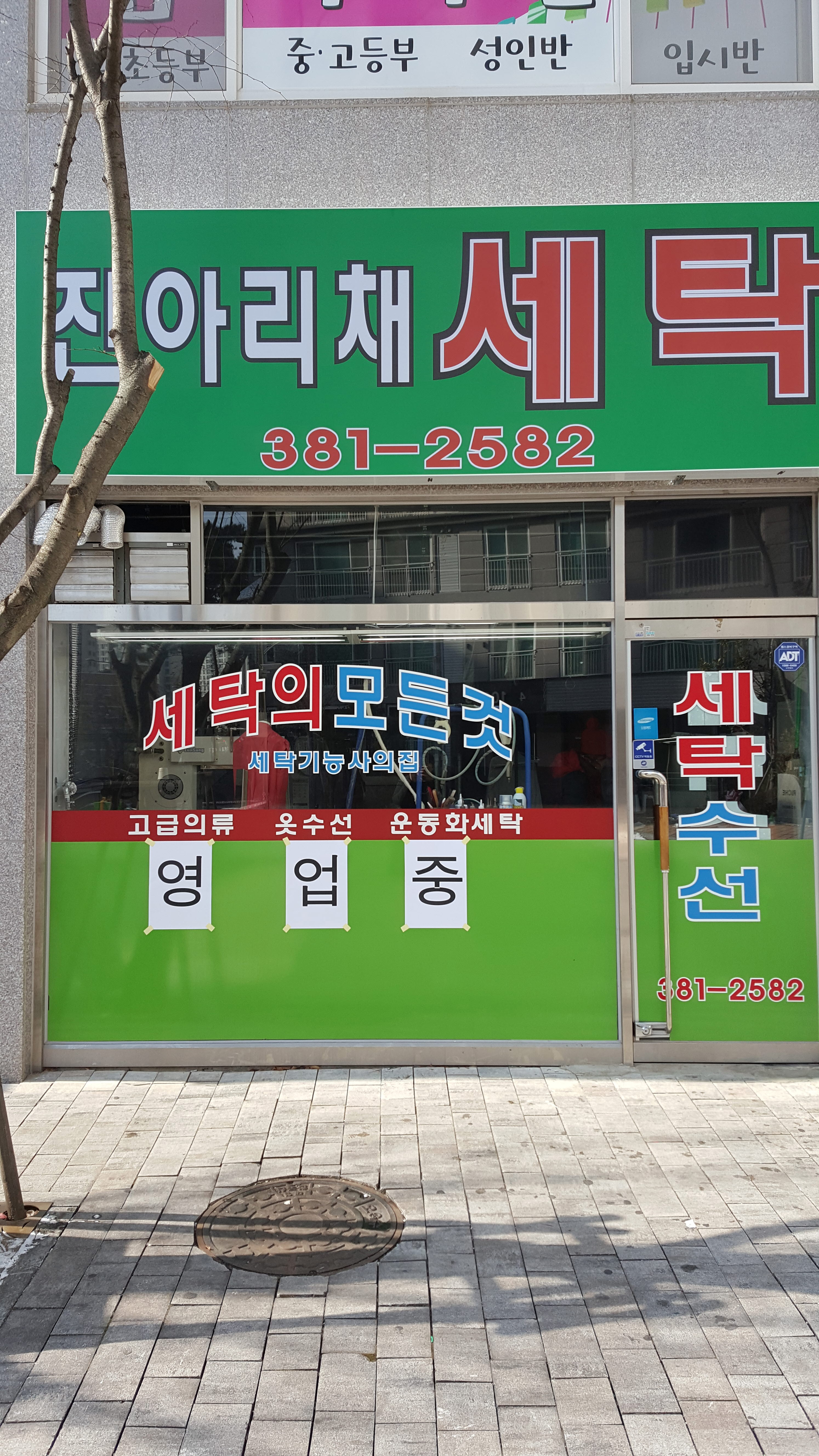 진아리채세탁
