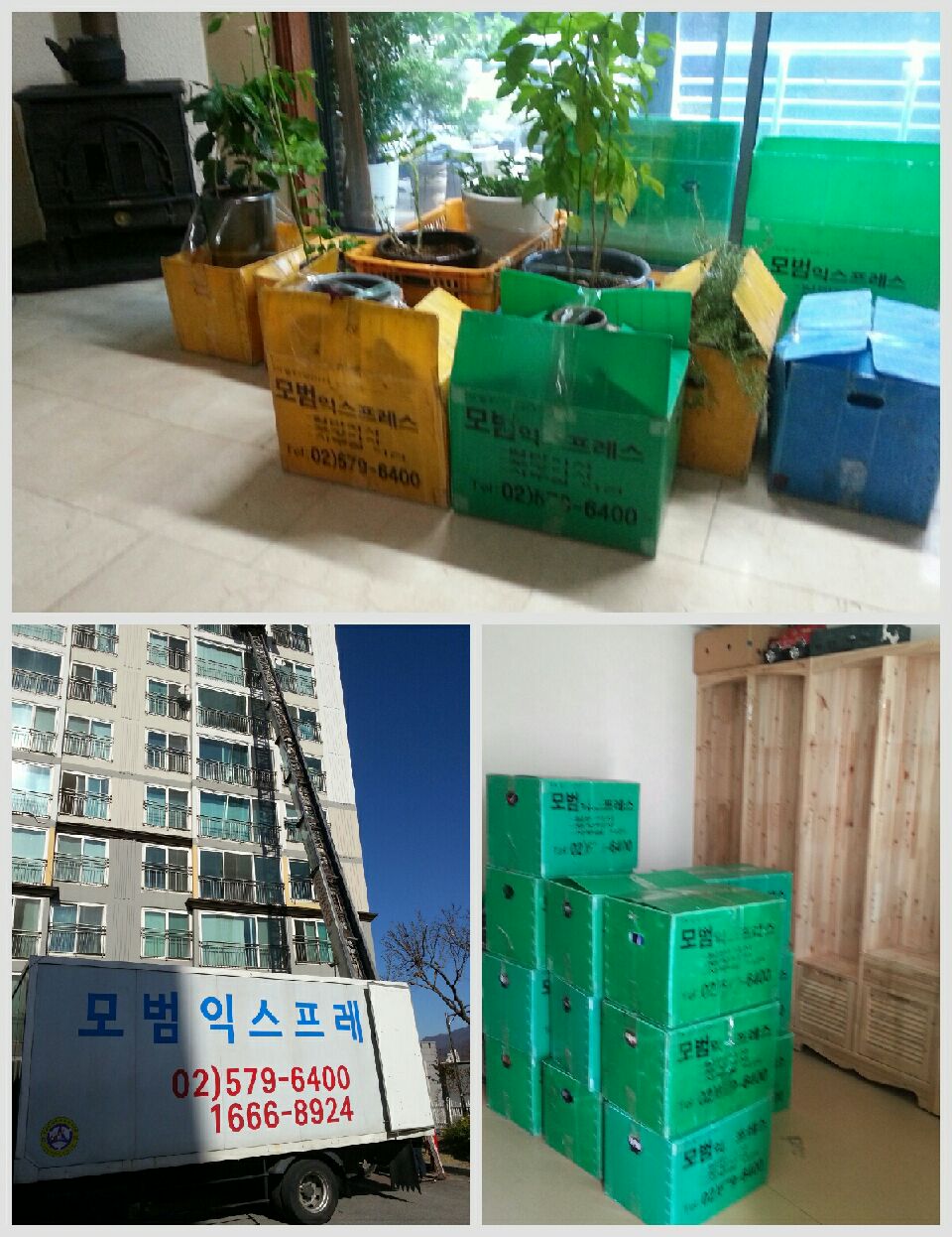 모범 익스프레스 대표 이미지