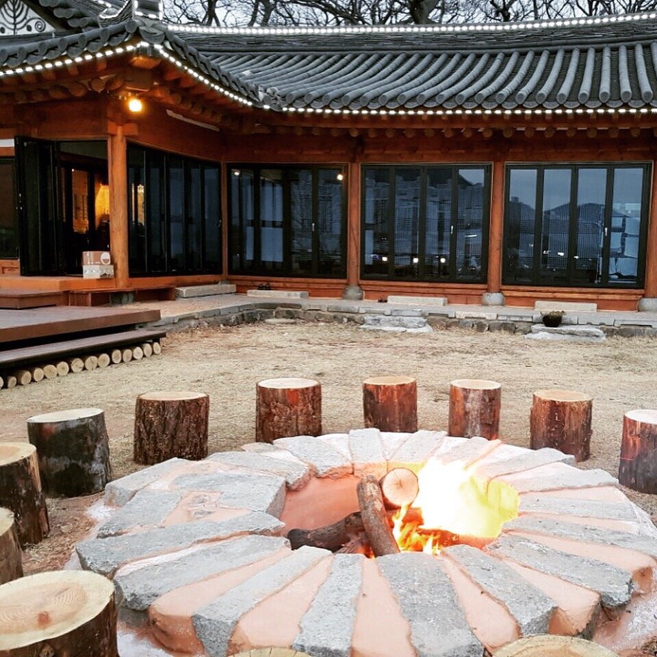 헤이비아 반려동물 동반 애견카페