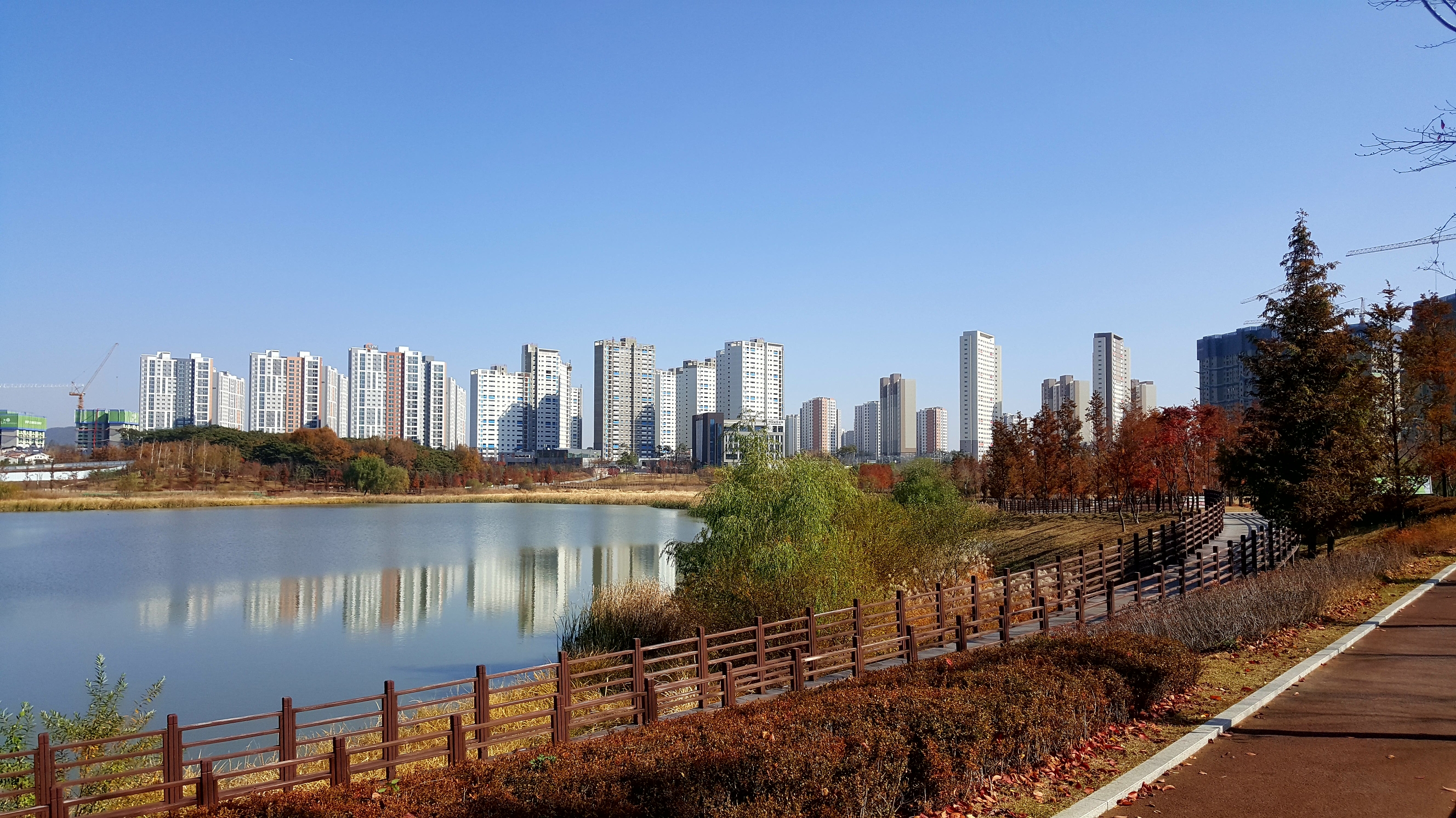 복드림공인중개사사무소