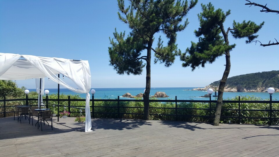 커피앤티 반려동물 동반 카페