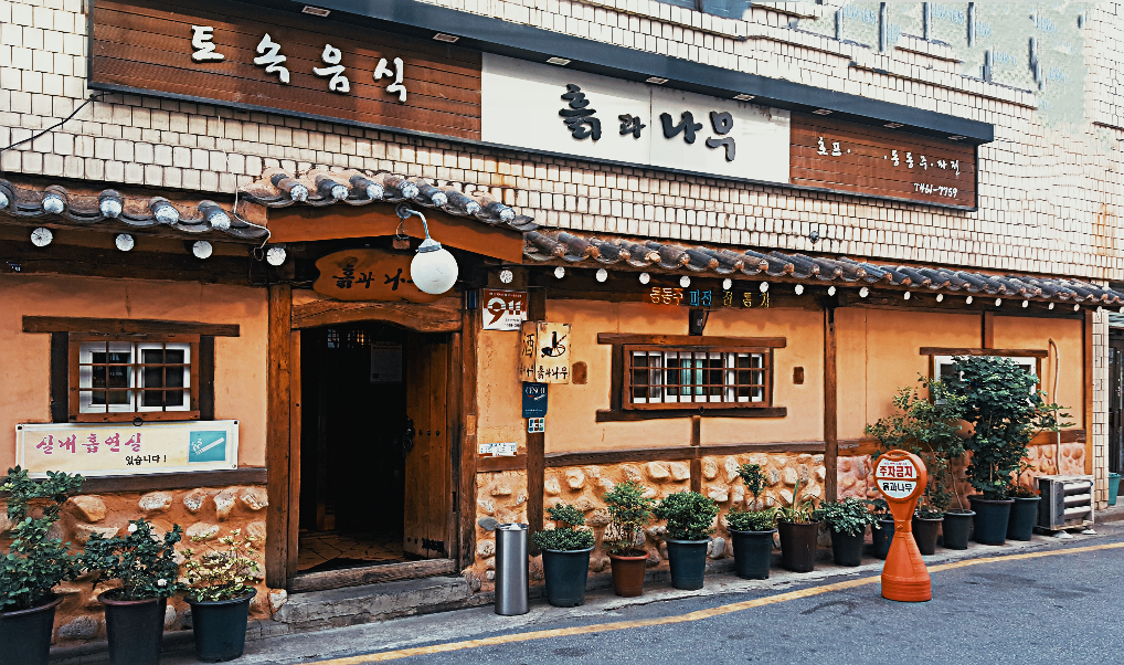 흙과나무