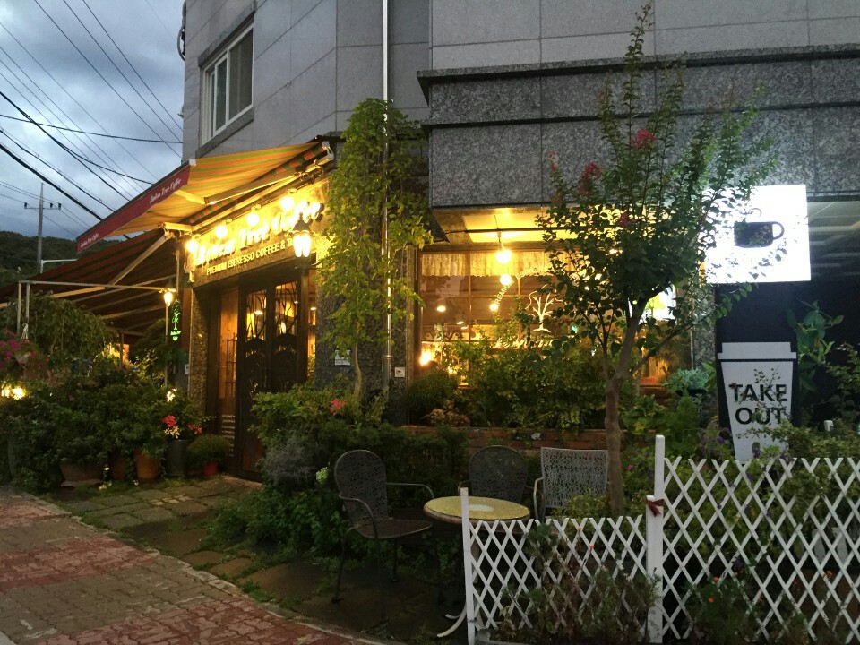 로뎀나무커피