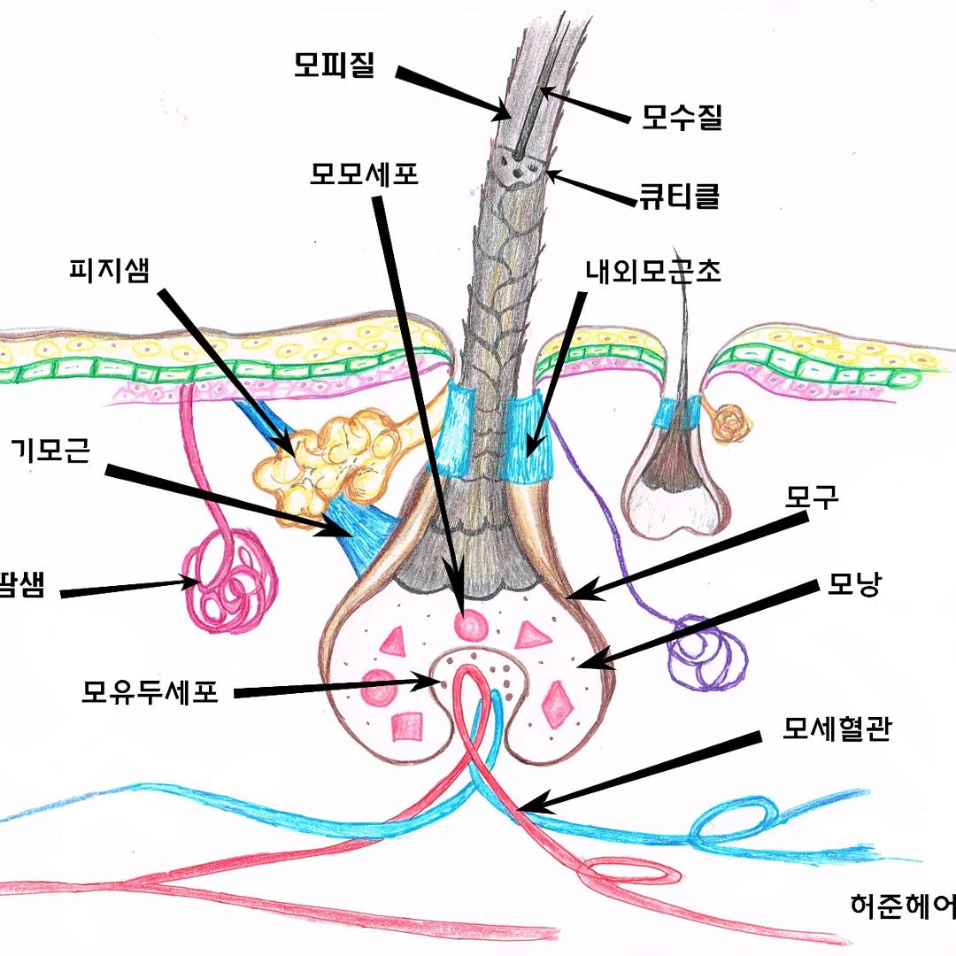 허준헤어 유천점
