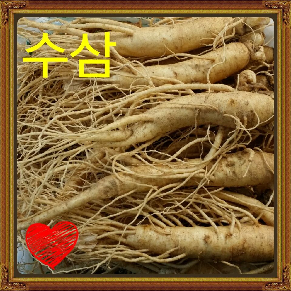 건강을지키는사람들