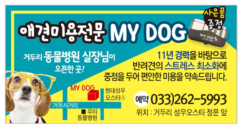 마이독 대표 이미지