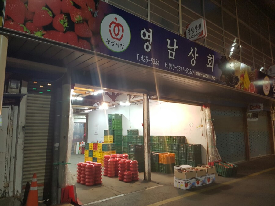 영남상회 칠성시장 거봉 샤인머스켓 포도 딸기 사과도매