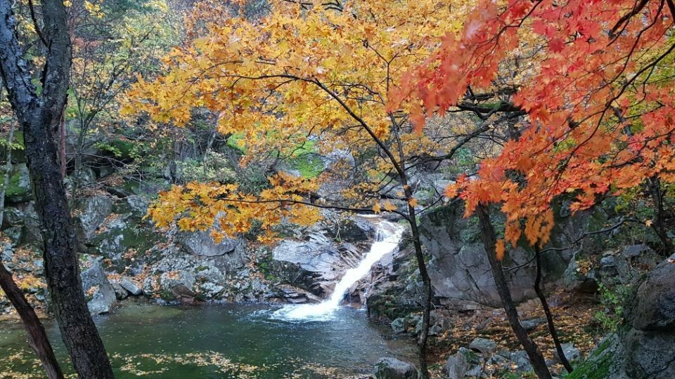 오대산힐링타운 별빛동