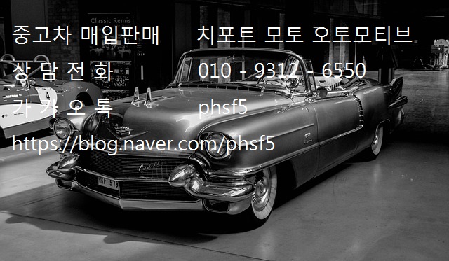 치포트모토 오토모티브