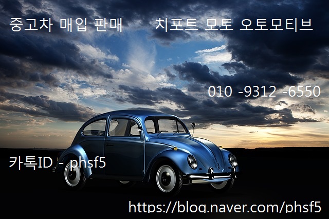 치포트모토 오토모티브