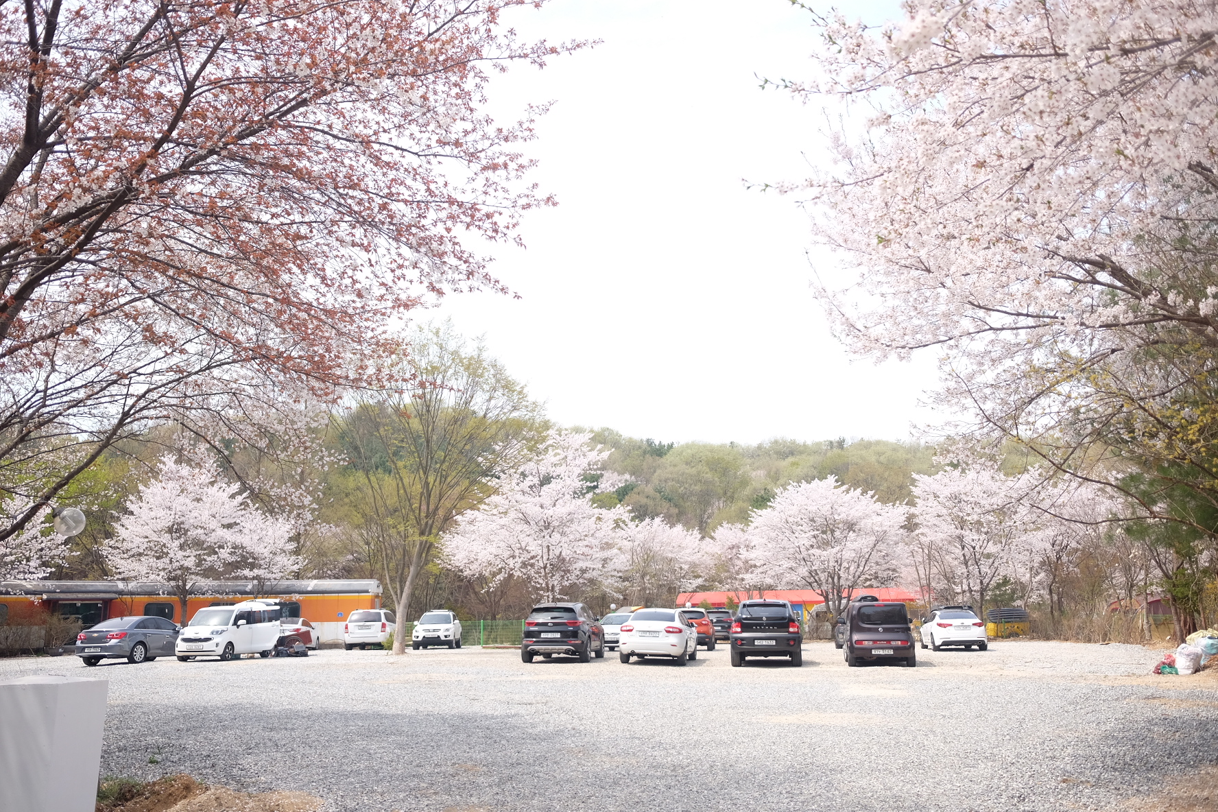 사진 4