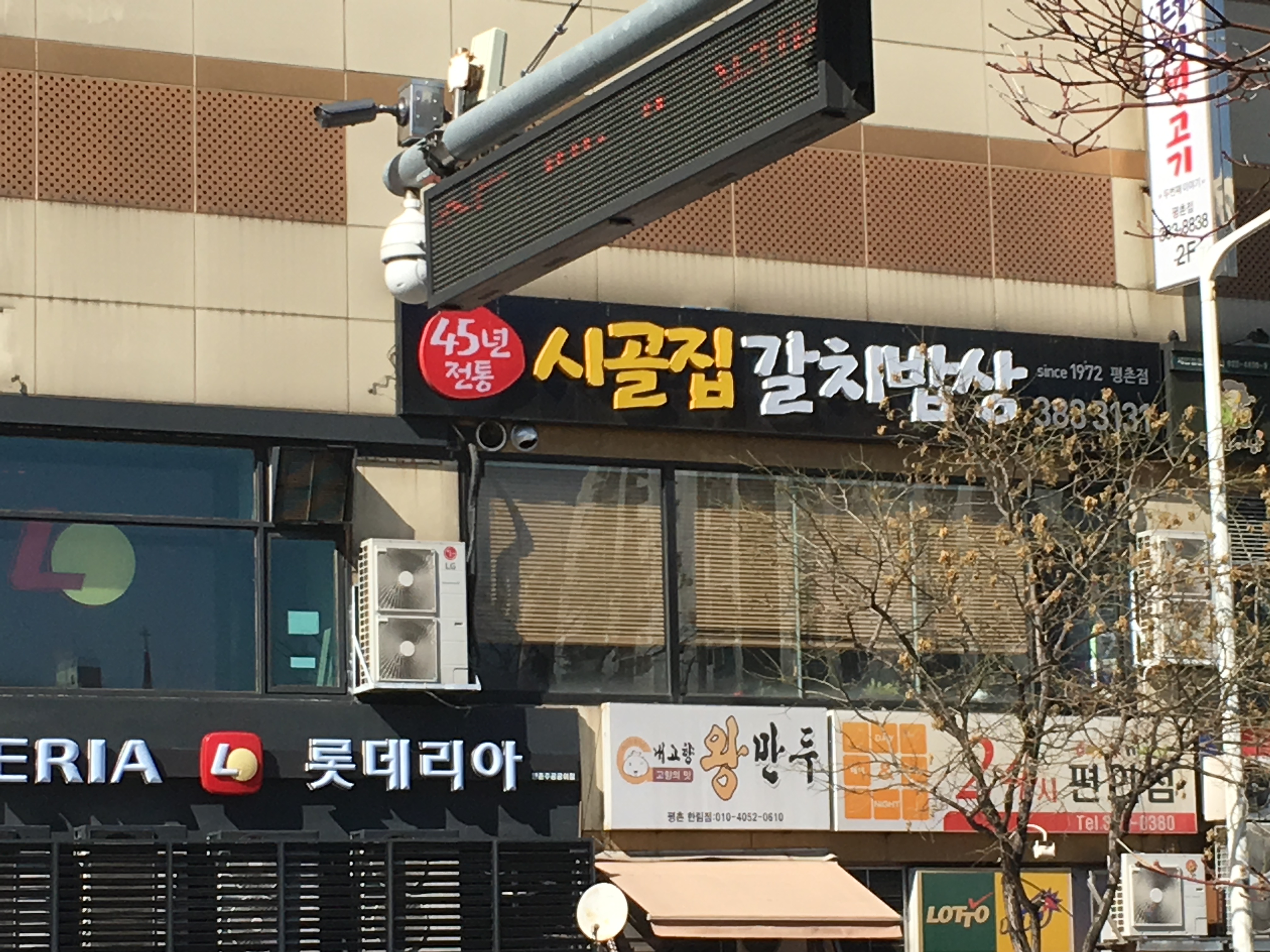 시골집갈치밥상