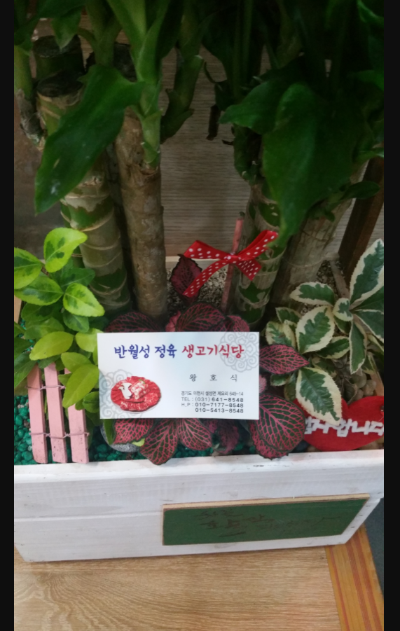 반월성정육점식당