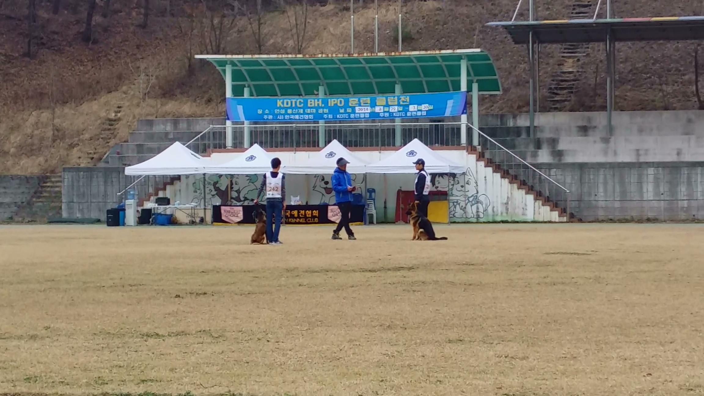 Dogs and Human 대표 이미지