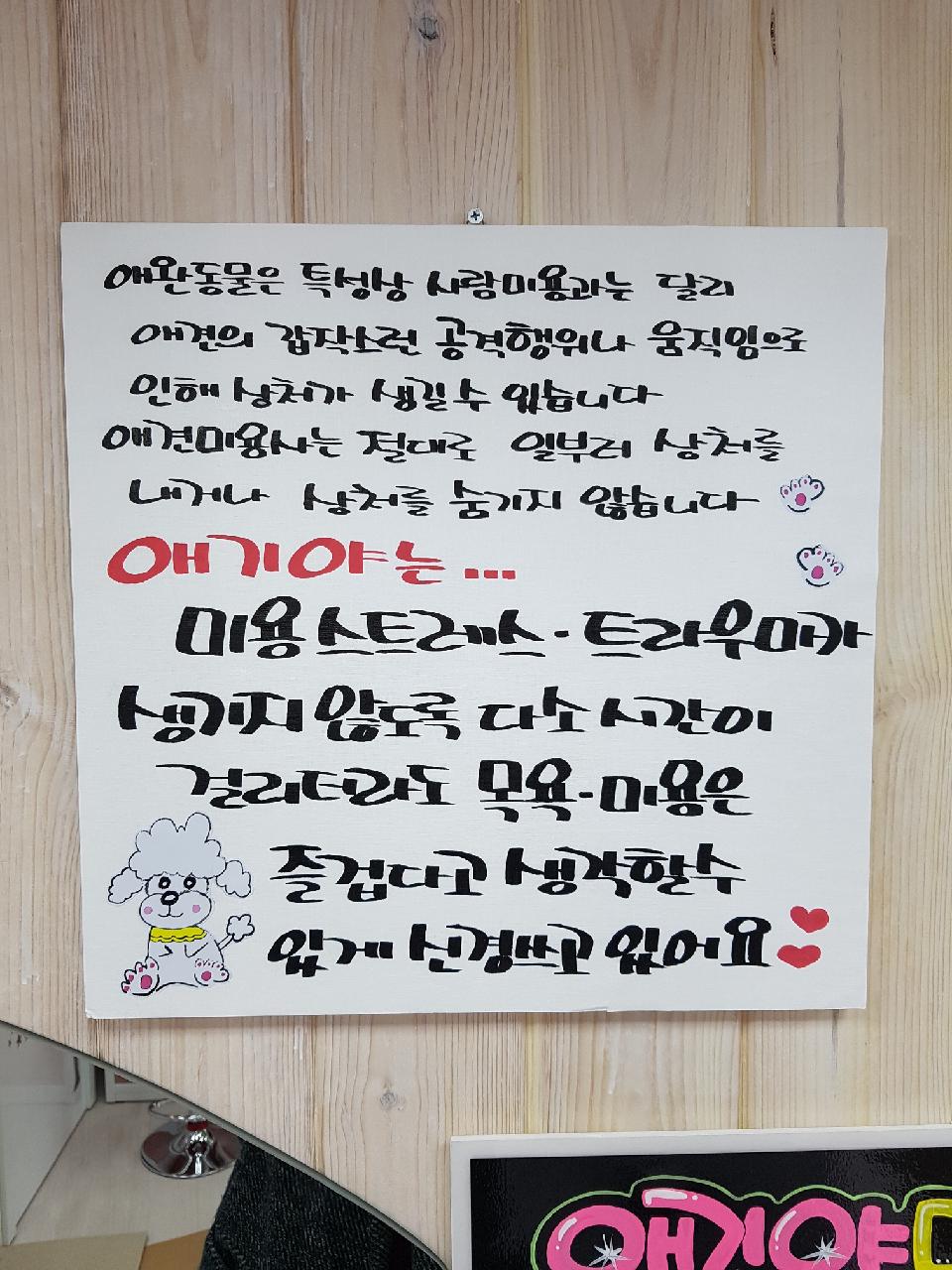 애기야 애견미용실 대표 이미지