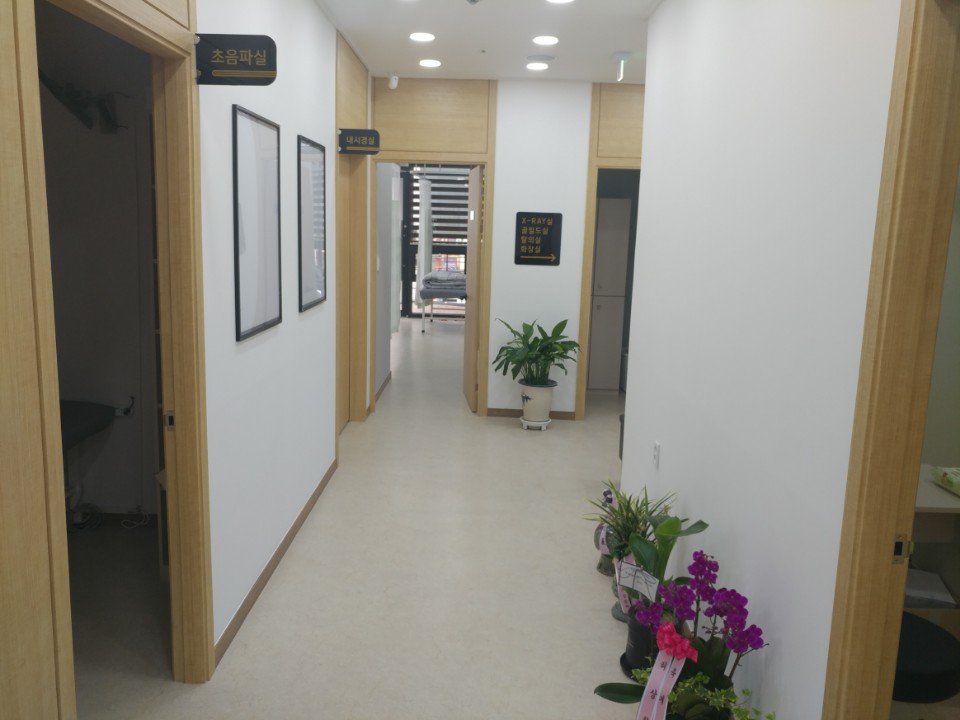 참편한내과의원 대표 이미지