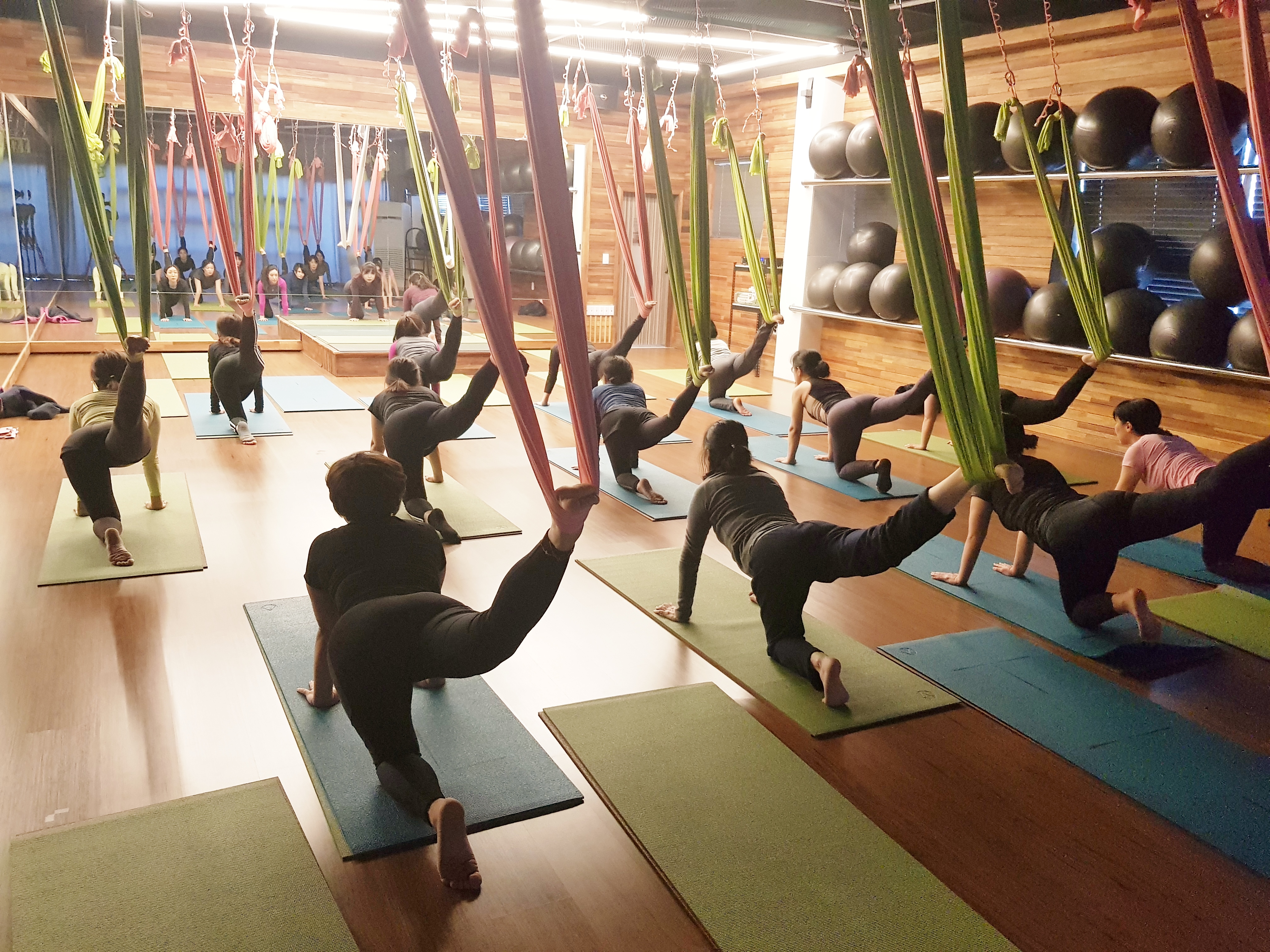 엘요가센터 대표 이미지