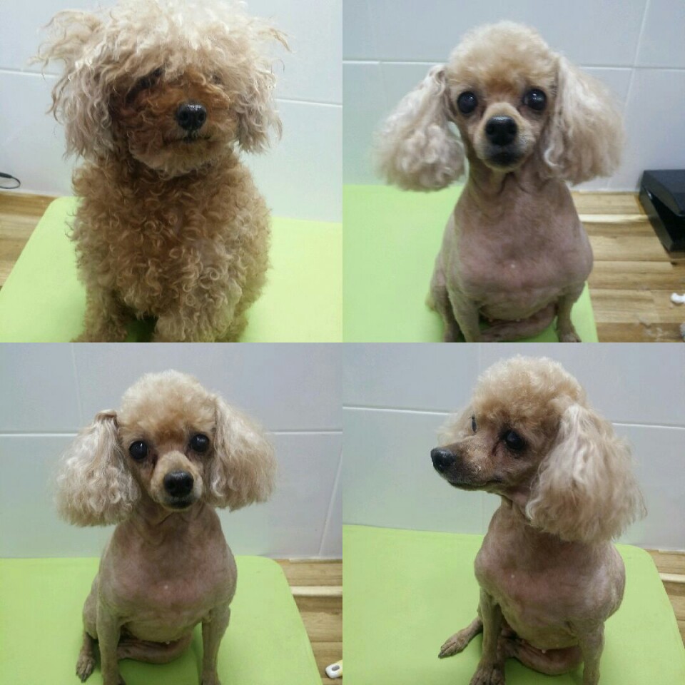 이지훈동물병원 대표 이미지