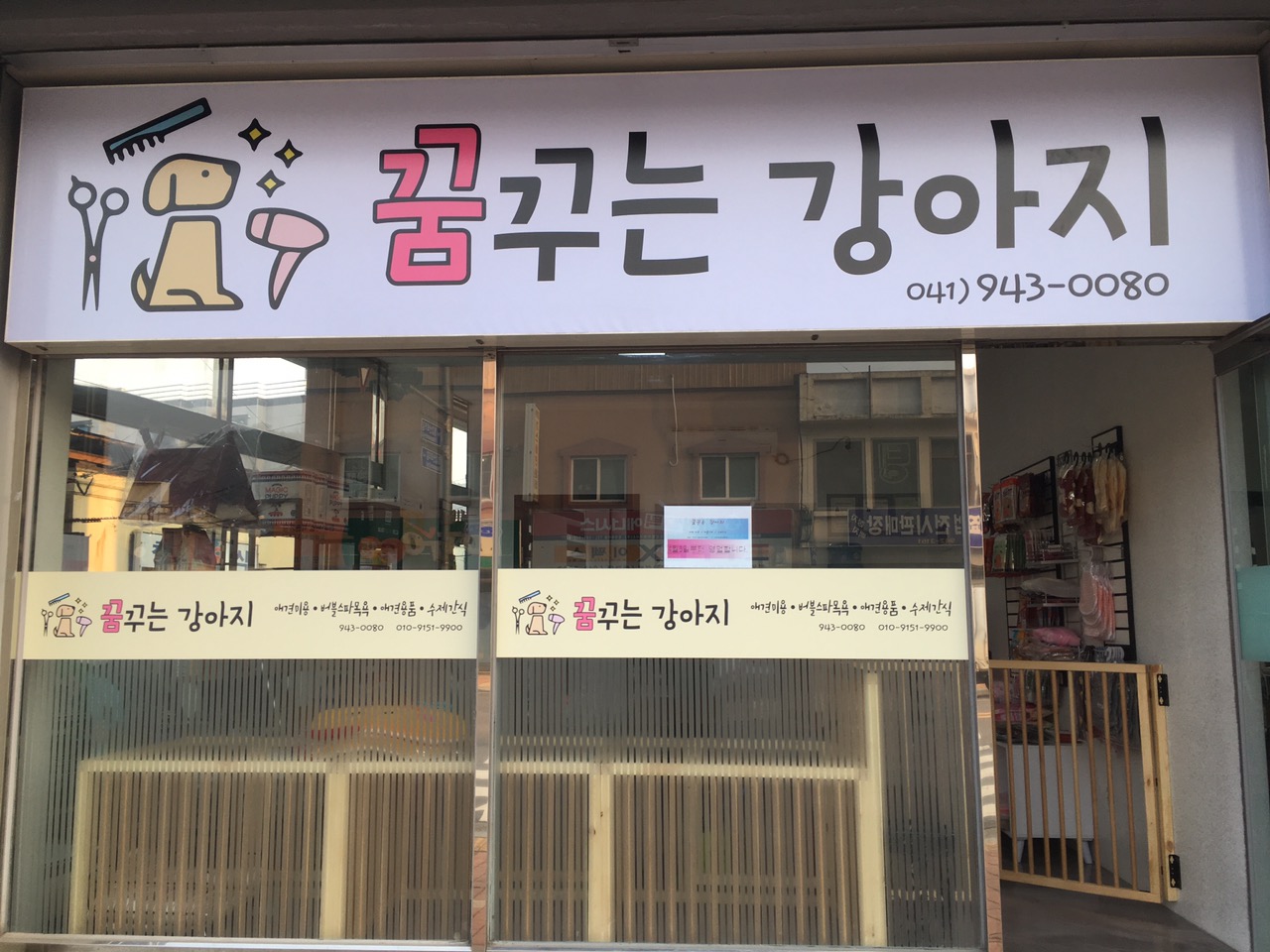 꿈꾸는강아지