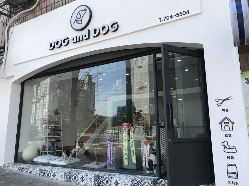 애견용품전문 추천 서울 마포구 지역 우수업체 강아지용품 애완용품 애견용품점 반려동물용품점 강아지스카프 애견용품샵 독앤독