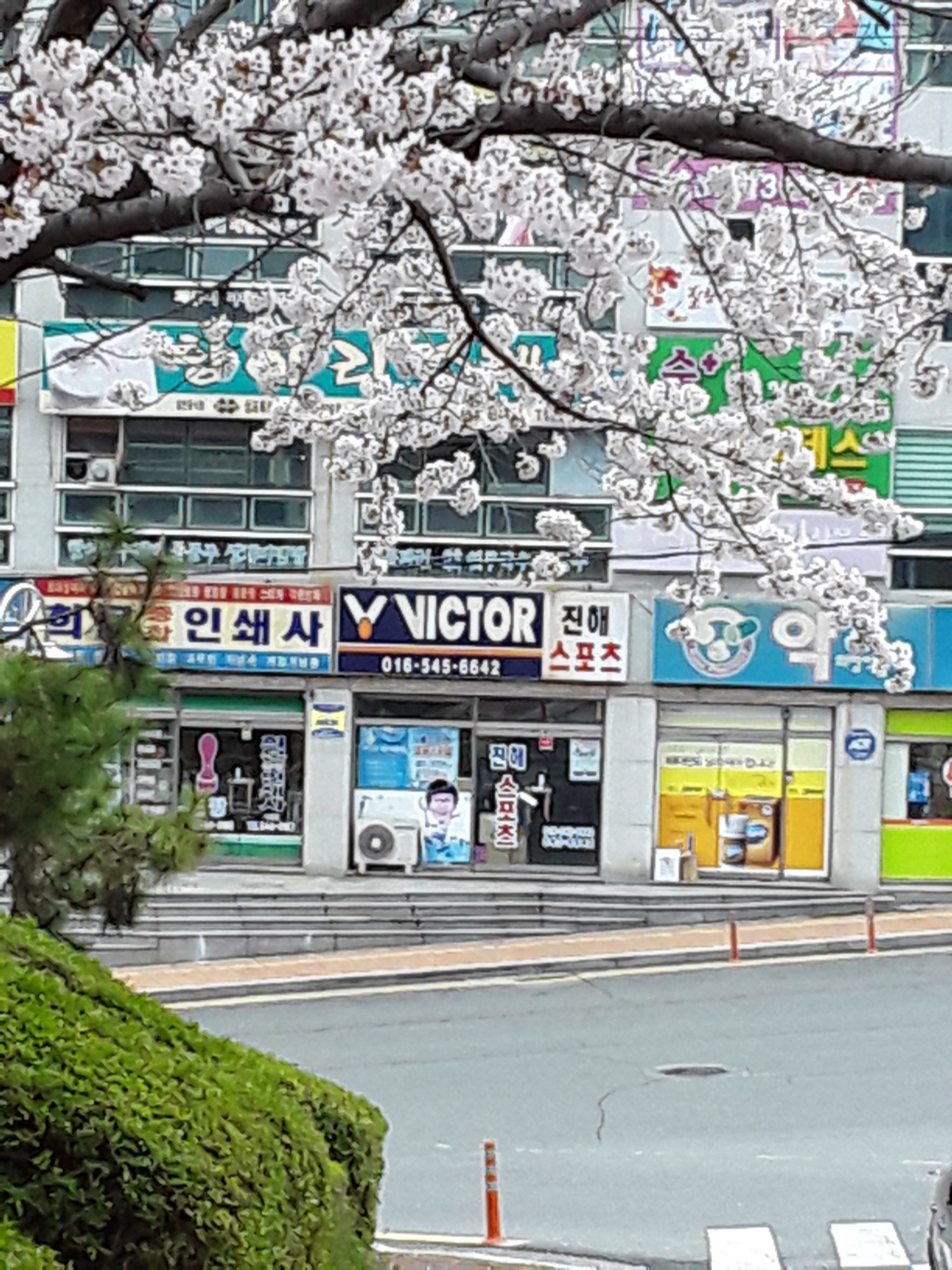 빅터 진해점