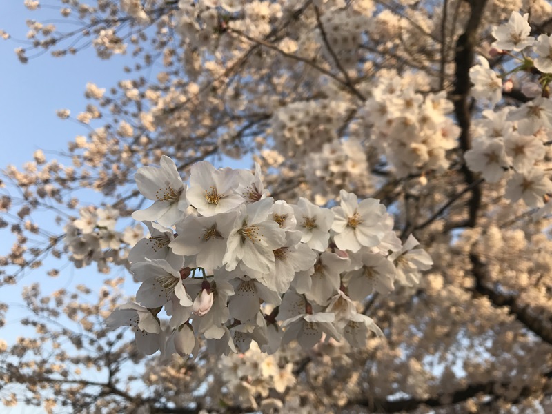 삼흥