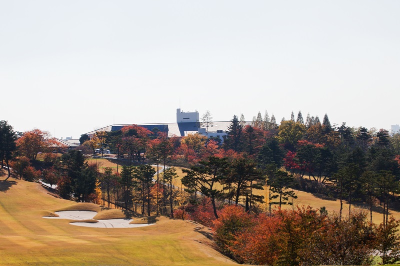 삼흥