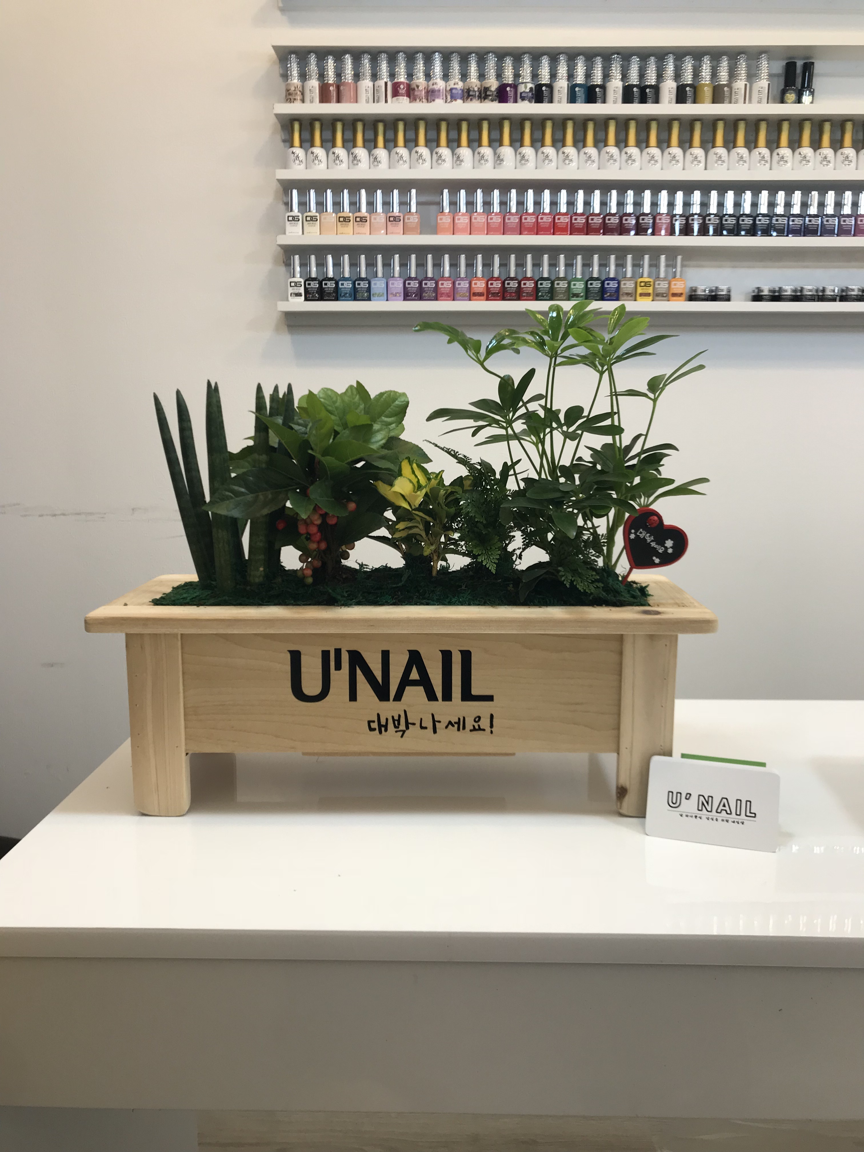 유네일 대표 이미지