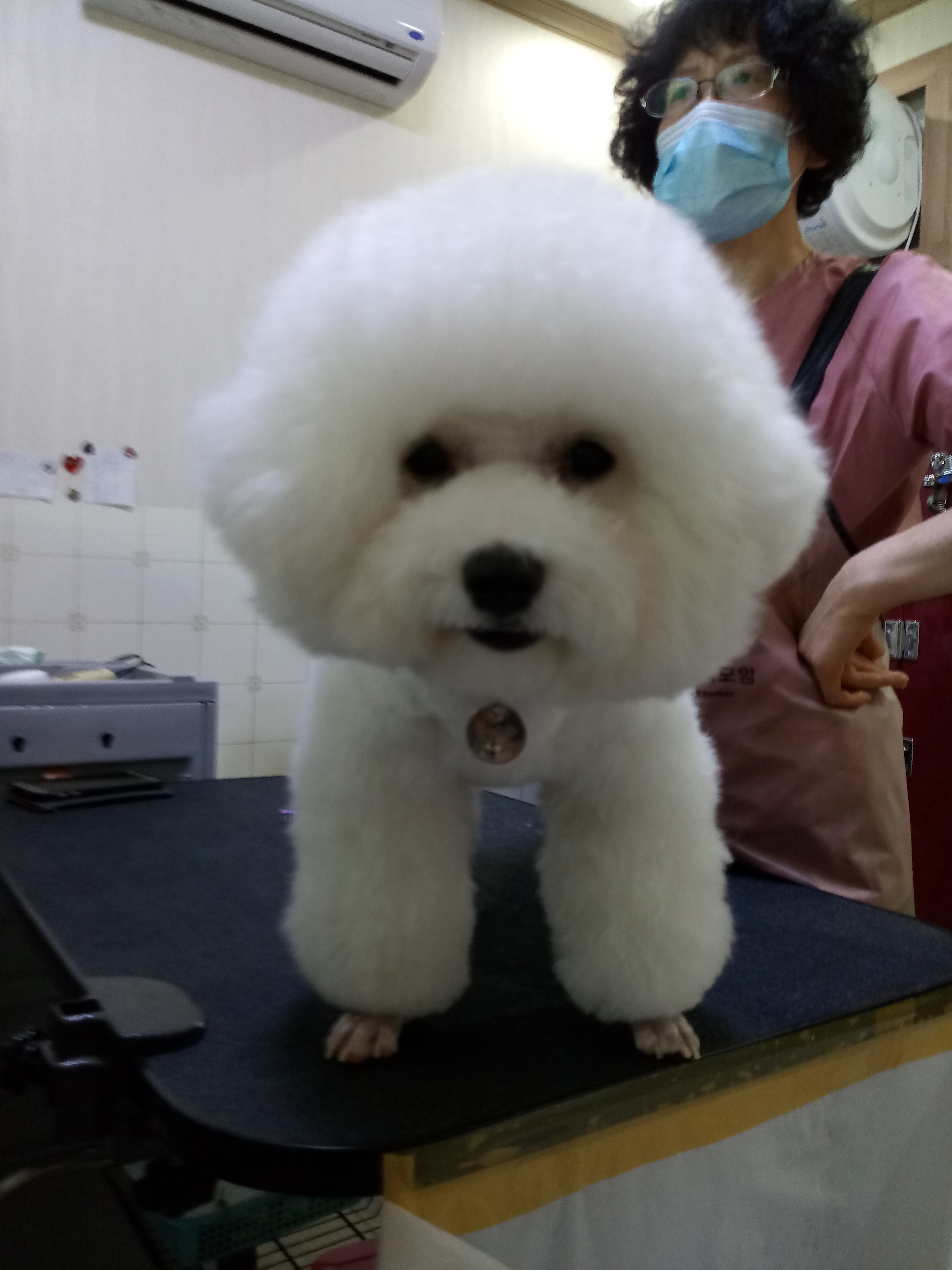 다온펫샵 대표 이미지