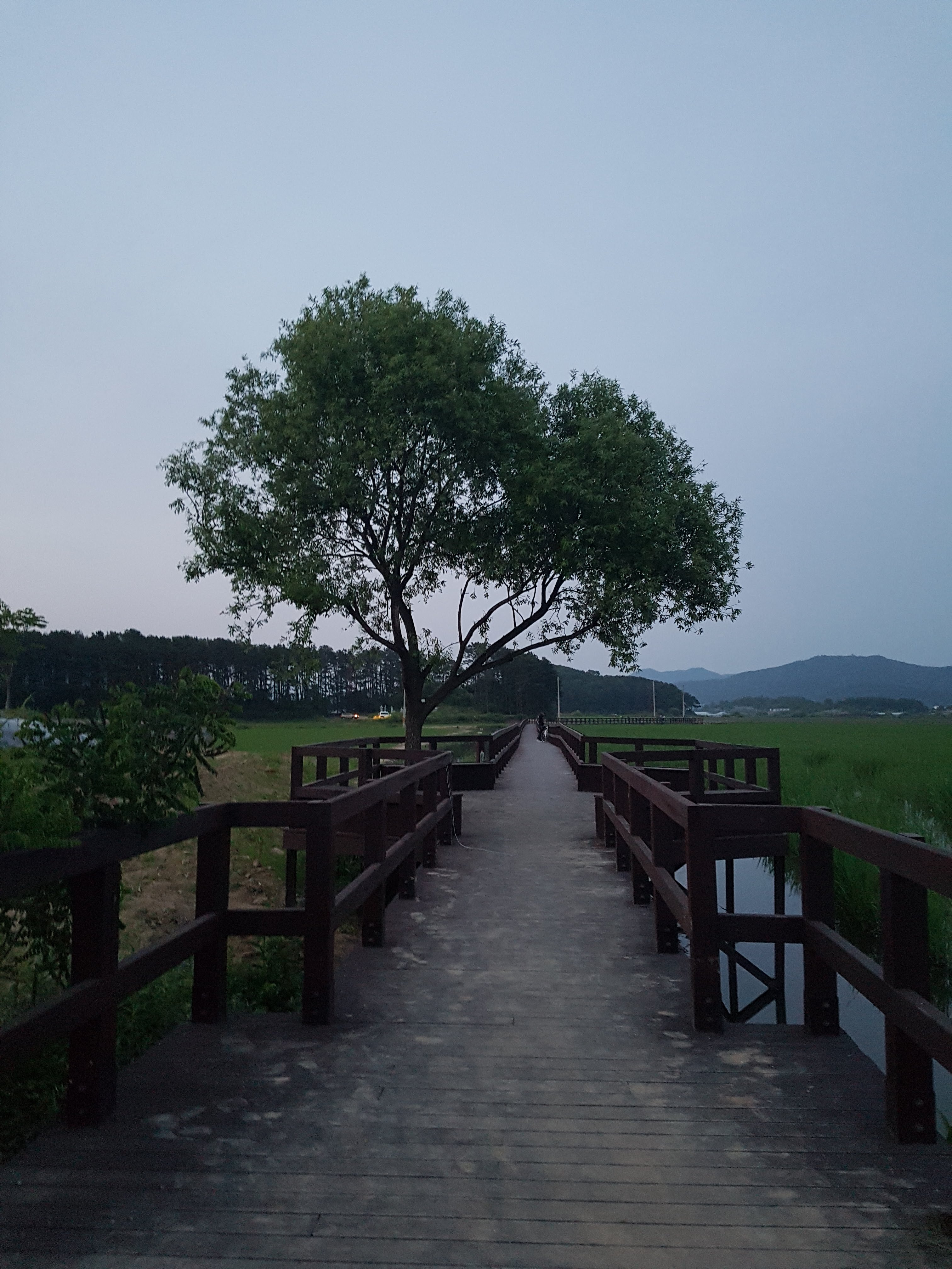 철원학마을캠프