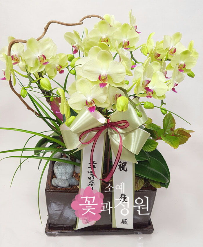 소예 꽃과정원
