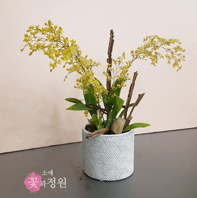 소예 꽃과정원
