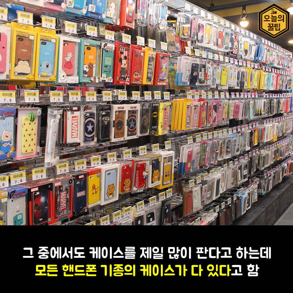 커버박스 대전둔산점