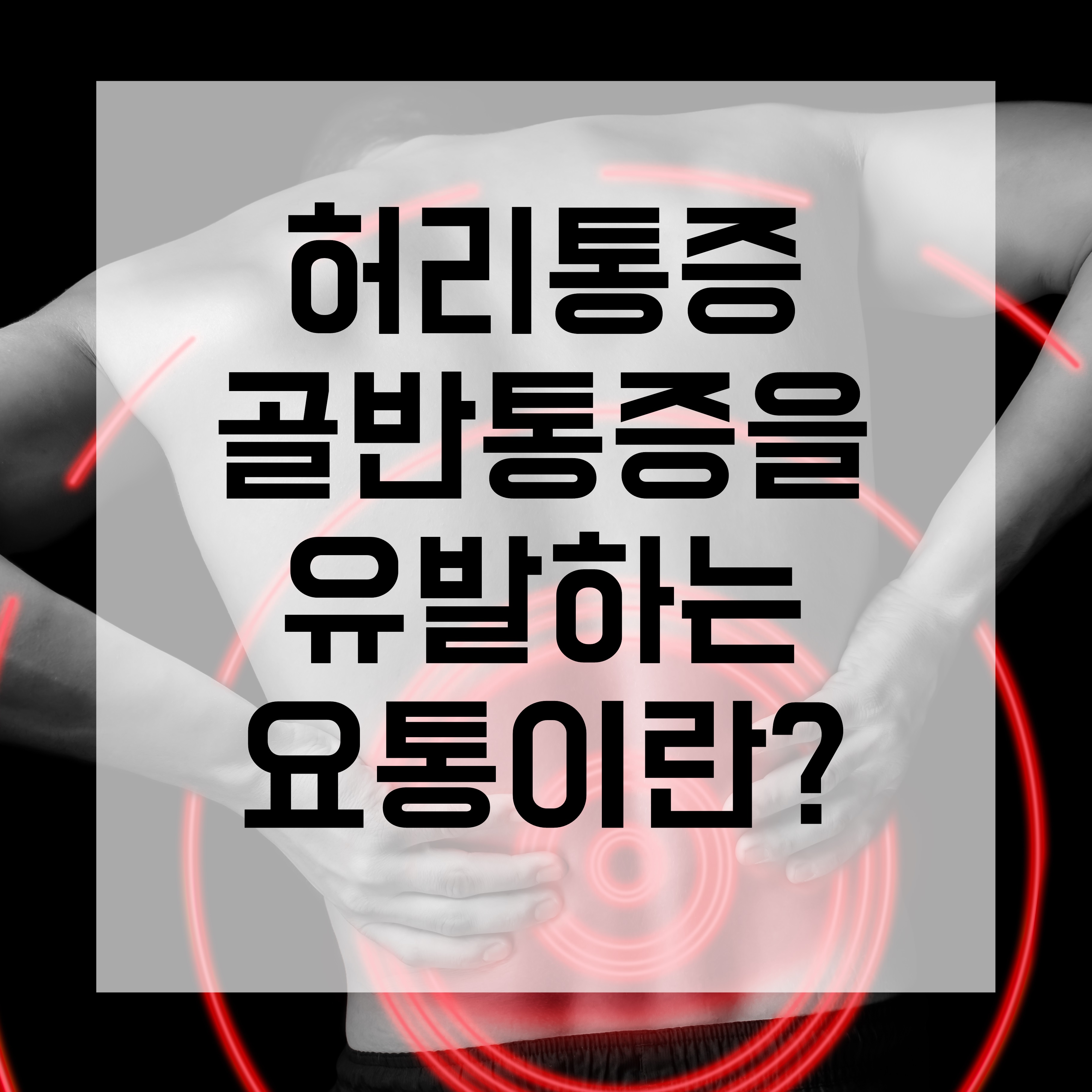 라인미바디컨설팅 photo 8