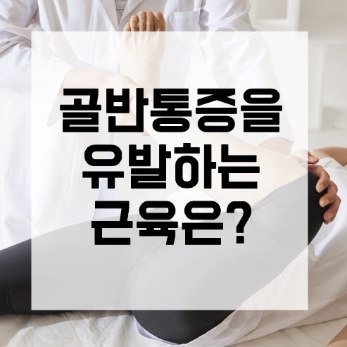 라인미바디컨설팅 photo 10