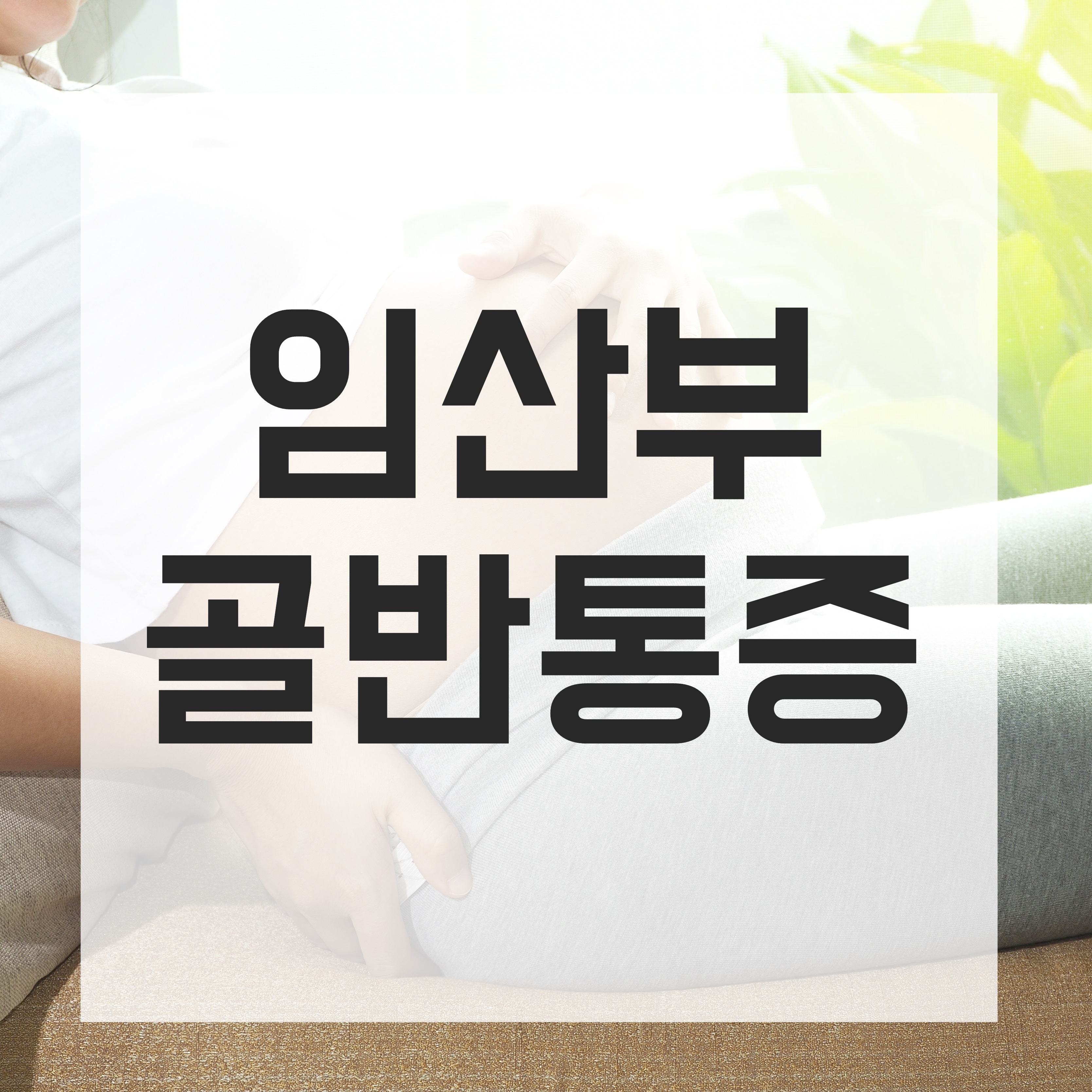 라인미바디컨설팅 photo 6