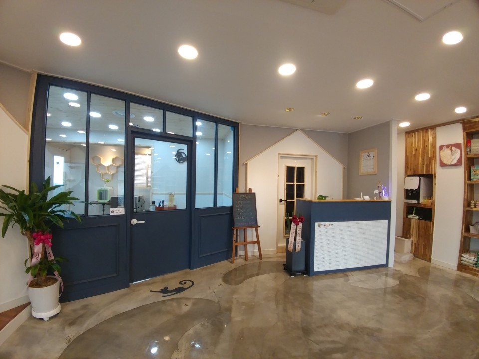 잔다냥 대전점 대표 이미지