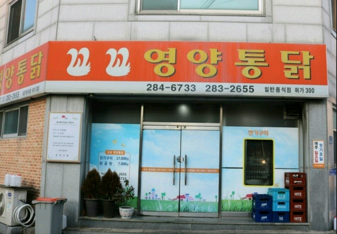 꼬꼬영양통닭