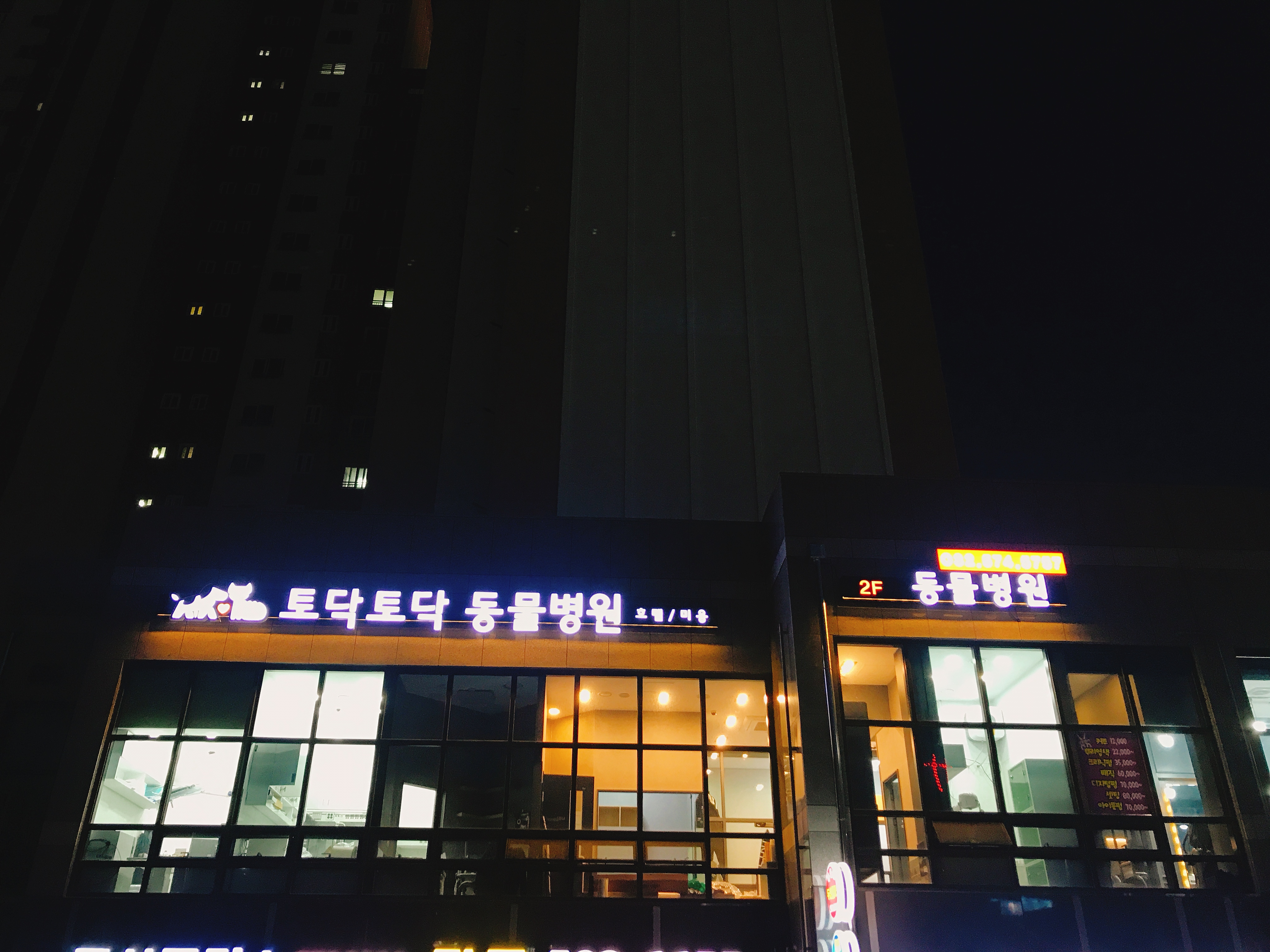 토닥토닥동물병원 대표 이미지