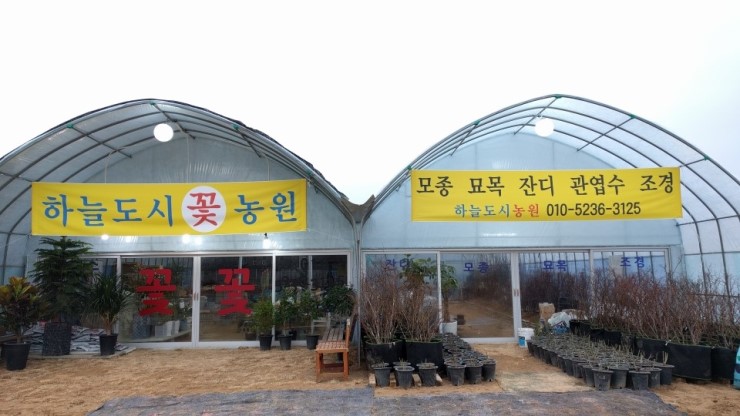 하늘도시꽃농원