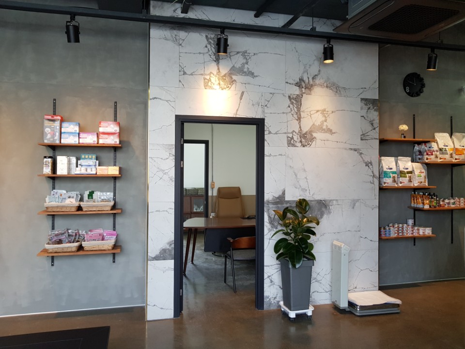 반창꼬동물병원 대표 이미지