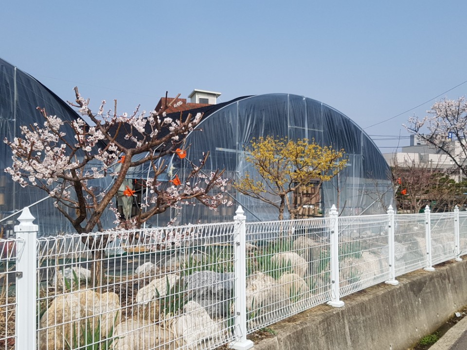 우봉진의 버섯세상